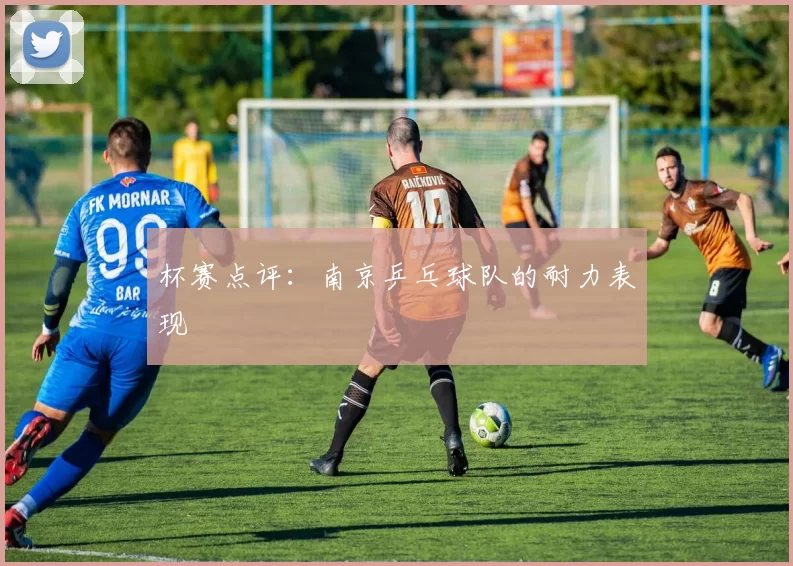 杯赛点评：南京乒乓球队的耐力表现