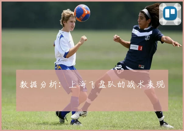 数据分析：上海飞盘队的战术表现