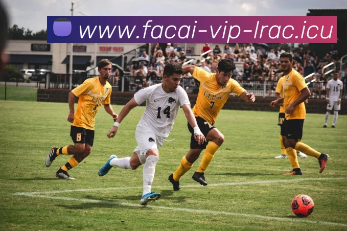 乐竞体育APP 高清赛事图