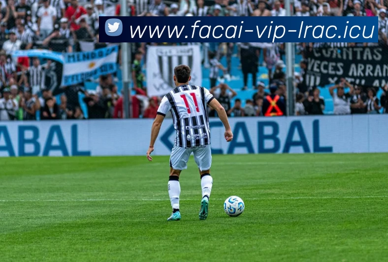 数据防护可视化